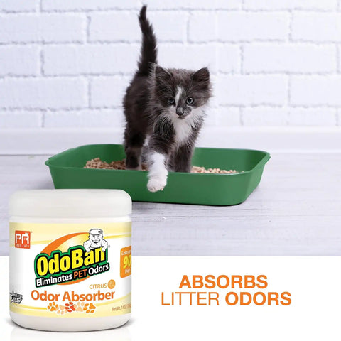 Pets Rule OdoBan Solid Odor Absorber Air Freshener, 3-Pack, 14 Ounce Jar Each, Citrus Scent