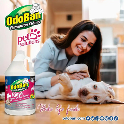 OdoBan Pet Solutions No Rinse Neutral pH Floor Cleaner Concentrate, Made in the USA, 2 Gallons