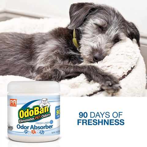 Pets Rule OdoBan Solid Odor Absorber Air Freshener, 14 Ounce Jar, Fresh Linen Scent