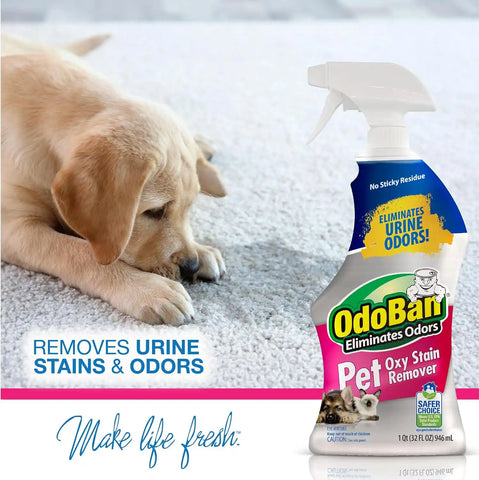 OdoBan Pet Solutions Oxy Stain Remover, Pet Stain Eliminator, Made in the USA, 6-Pack, 32 Ounce Spray Each