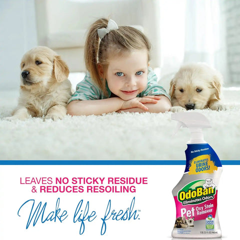 OdoBan Pet Solutions Oxy Stain Remover, Pet Stain Eliminator, Made in the USA, 12-Pack, 32 Ounce Spray Each