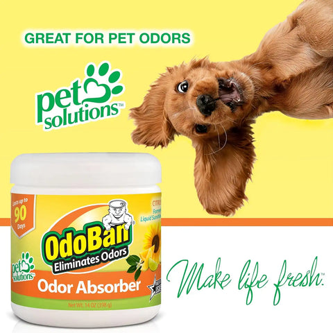 OdoBan Solid Odor Absorber Eliminator for Home and Small Spaces, Citrus Scent, 14 Ounces Each, 12-Pack