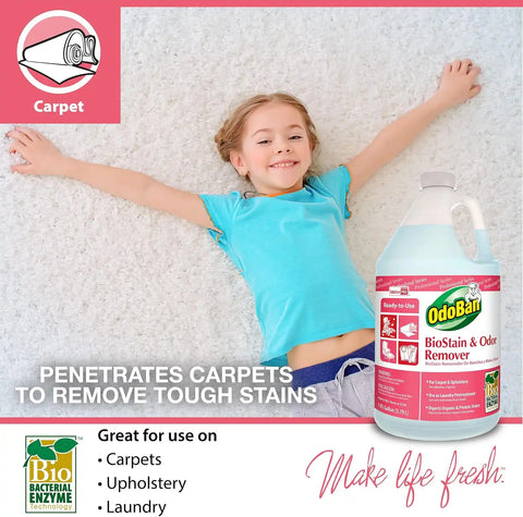 OdoBan Professional Cleaning and Odor Control Solutions, Ready-to-Use Biostain and Odor Remover, Made in the USA, 1 Gallon