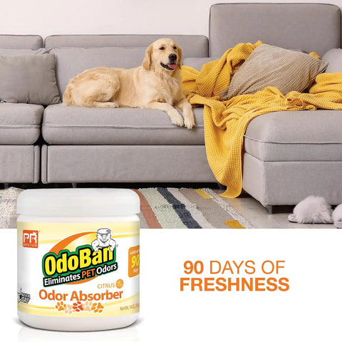 Pets Rule OdoBan Solid Odor Absorber Air Freshener, 3-Pack, 14 Ounce Jar Each, Citrus Scent