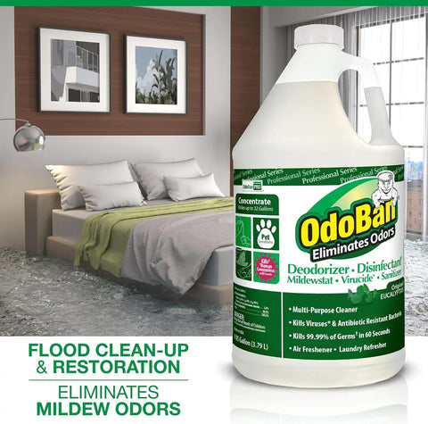 OdoBan Professional Disinfectant and Odor Eliminator Concentrate, 6-Pack, 1 Gallon Each, Original Eucalyptus Scent